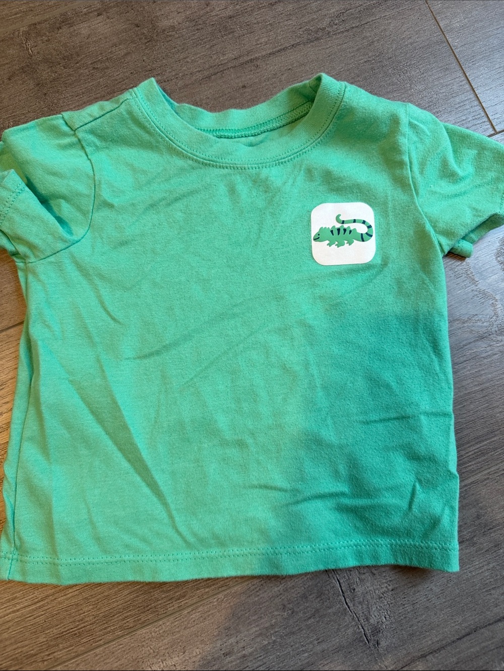 Kids Short Sleeve Green Crocodile Graphic Tee